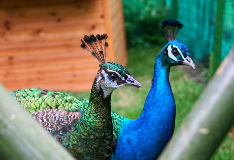 غرفة قياسية فردية, Millennium Resort Hangzhou