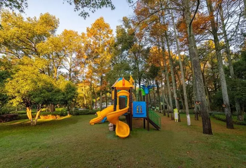 スタンダードシングルルーム, Millennium Resort Hangzhou