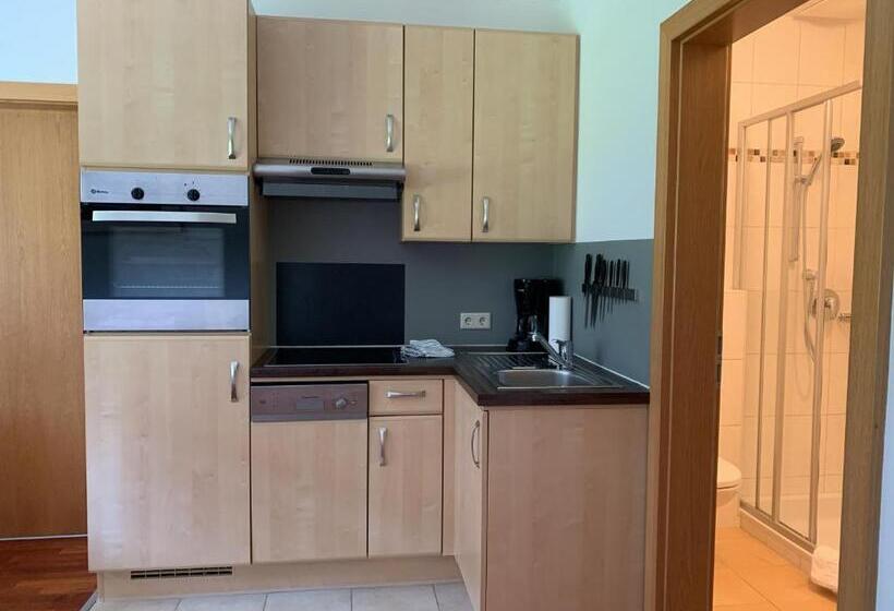 شقة غرفة نوم واحدة بالطابق الأرضى, Die Filzmooserin Apartments