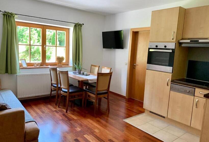 低层单卧公寓, Die Filzmooserin Apartments