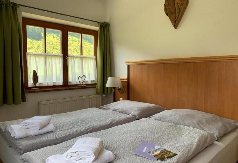 شقة غرفة نوم واحدة بالطابق الأرضى, Die Filzmooserin Apartments