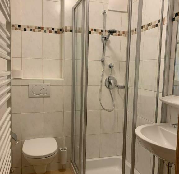 شقة ديلوكس غرفة واحدة, Die Filzmooserin Apartments