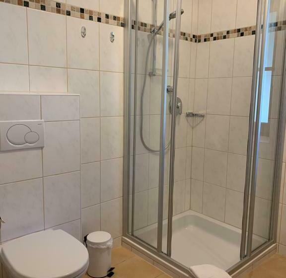 شقة ديلوكس غرفة واحدة, Die Filzmooserin Apartments