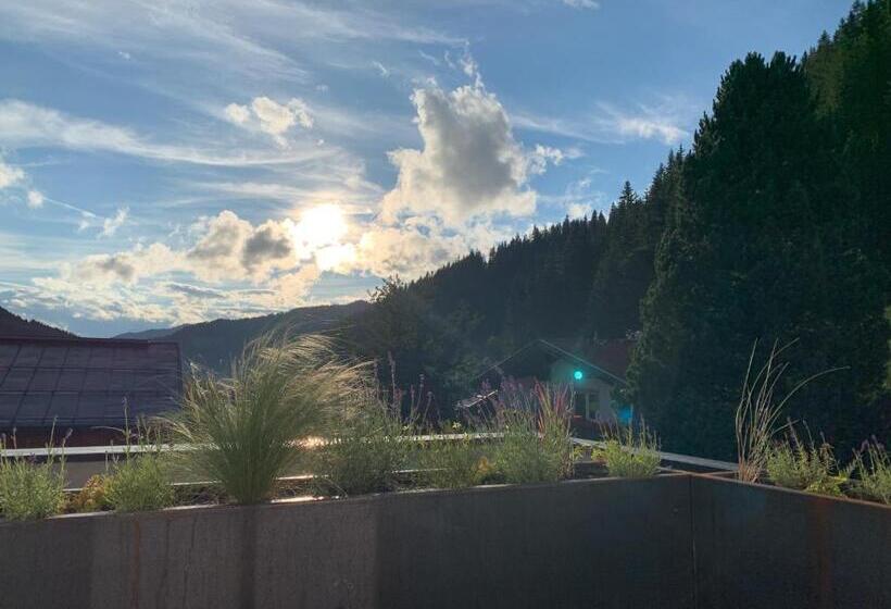 شقة ديلوكس غرفة واحدة, Die Filzmooserin Apartments