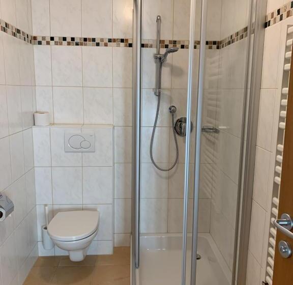 شقة ديلوكس غرفة واحدة, Die Filzmooserin Apartments