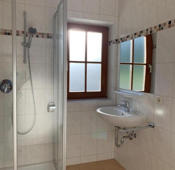 شقة ديلوكس غرفة واحدة, Die Filzmooserin Apartments