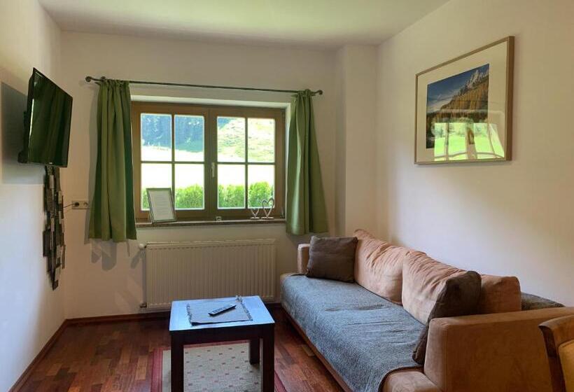 شقة غرفة نوم واحدة بالطابق الأرضى, Die Filzmooserin Apartments