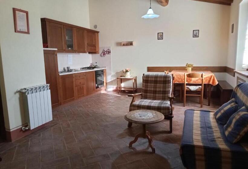 Апартаменты 1 Спальня, Agriturismo Collesassi