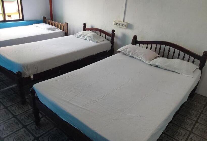 اتاق استاندارد چهار تخته, Johnson S Homestay   Ecohouseboat