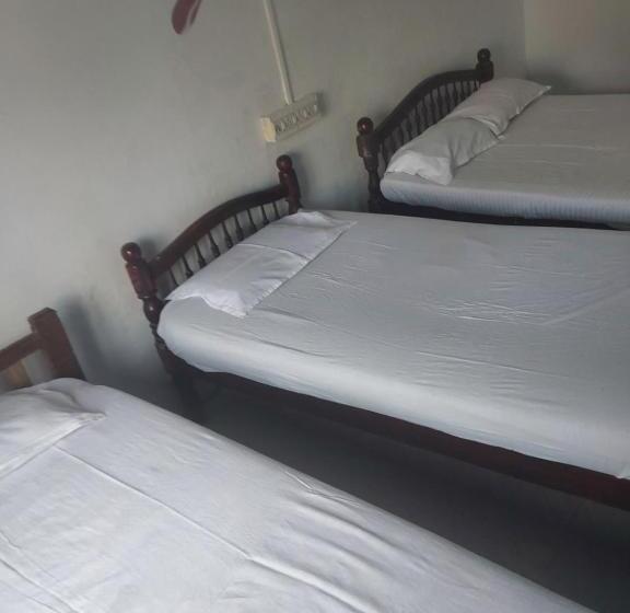 اتاق استاندارد چهار تخته, Johnson S Homestay   Ecohouseboat