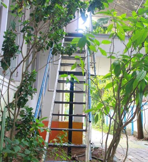Quarto Quádruplo Estandar, Johnson S Homestay   Ecohouseboat
