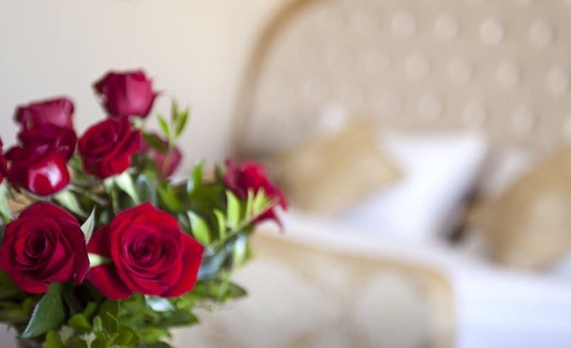 スタンダードルーム, Oz Hotels Side Premium