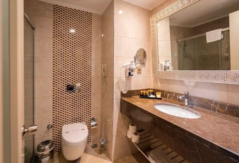 اتاق خانوادگی, Oz Hotels Side Premium