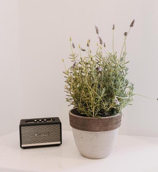 اتاق لوکس, 5 Hermoupolis Concept Sites