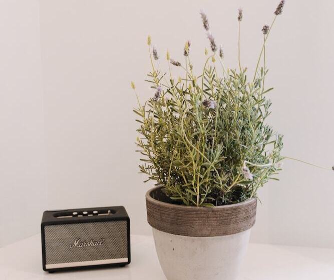 اتاق سوپریور, 5 Hermoupolis Concept Sites