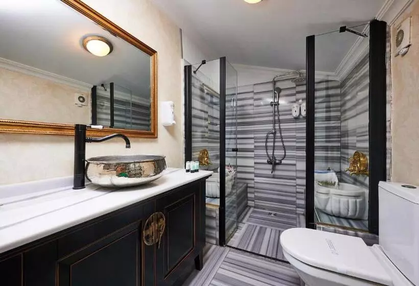 1 Bedroom Duplex Apartment, Faik Pasha Hotels Special Category Beyoglu Istanbul