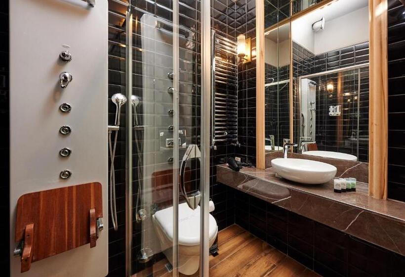 1 Bedroom Deluxe Apartment, Faik Pasha Hotels Special Category Beyoglu Istanbul