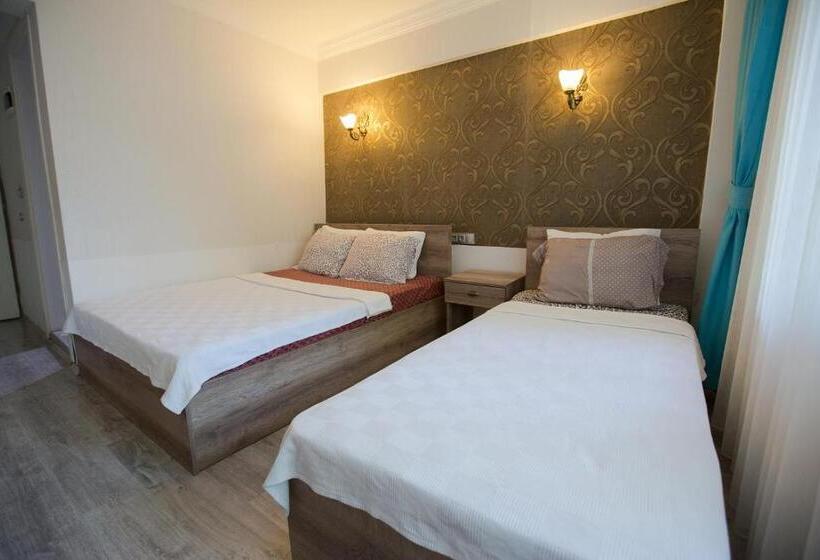 اتاق استاندارد سه تخته با بالکن, Ozbay