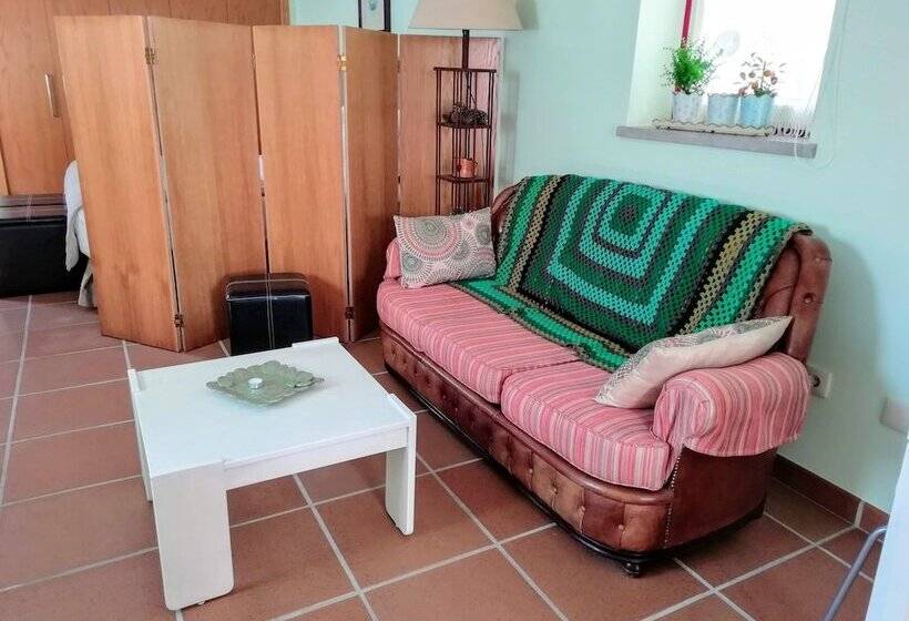 标准工作室, Artvilla