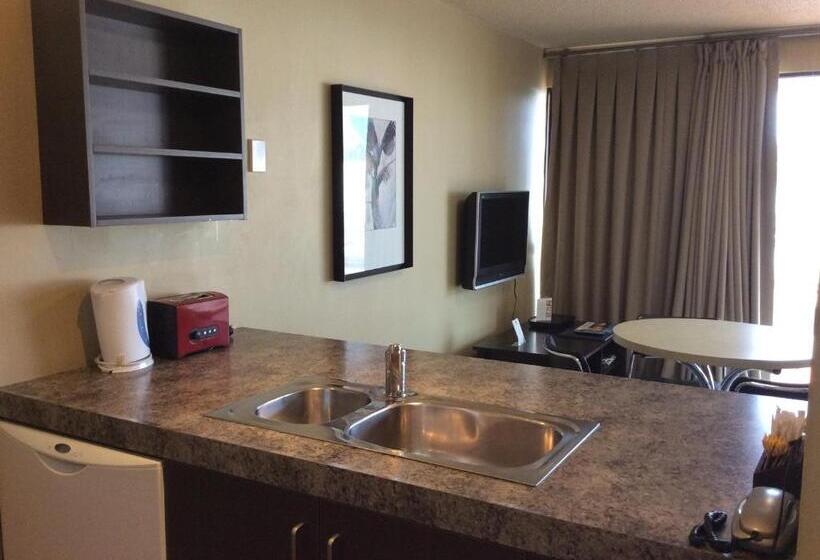 شقة غرفة واحدة, The Lofts Apartments