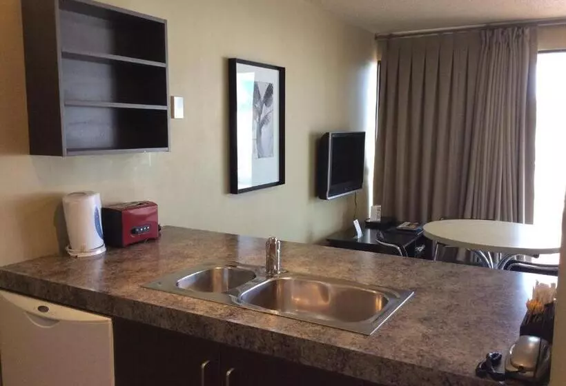 １ベッドルームアパートメント, The Lofts Apartments