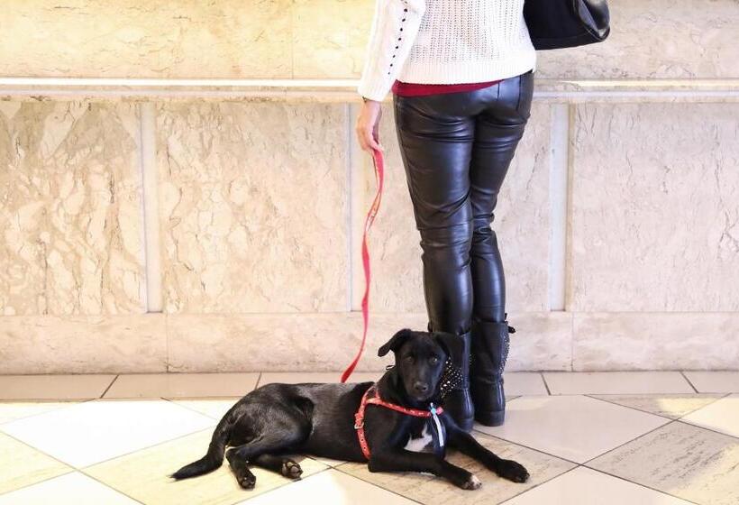 Superior-huoneisto 1 Makuuhuone, Vitória Hotel Residence Newport