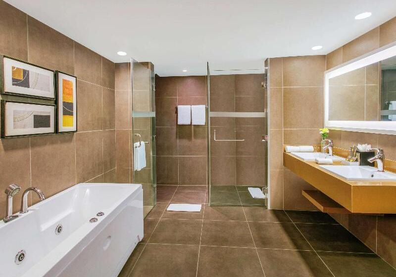 Президентский Люкс, Novotel Ahmedabad