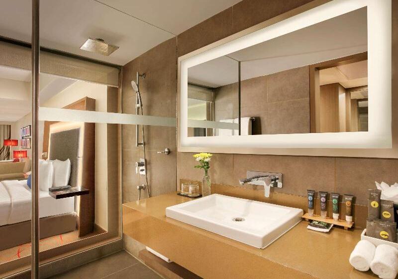 Студия Стандарт, Novotel Ahmedabad