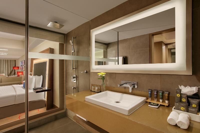 Студия Стандарт, Novotel Ahmedabad