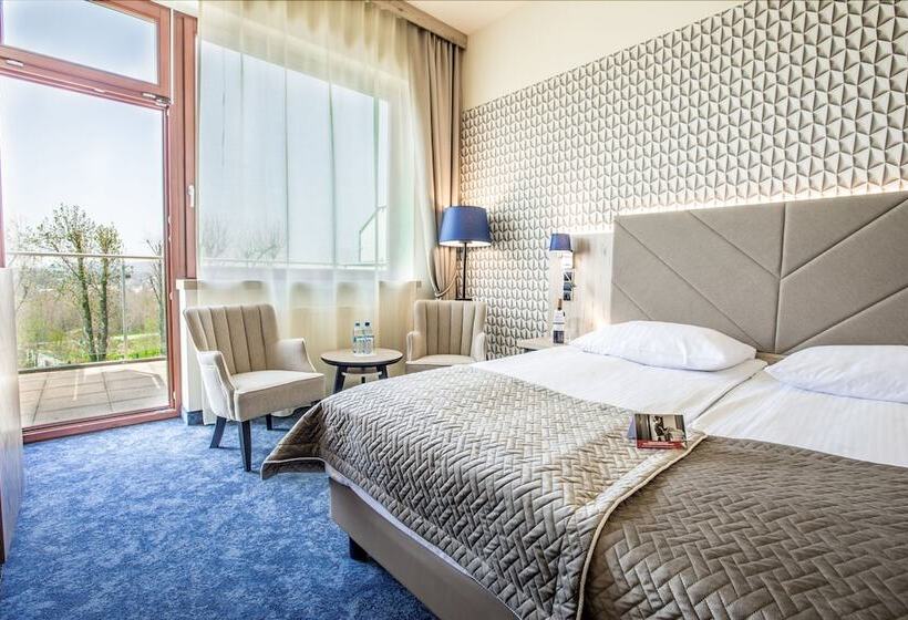 اتاق استاندارد با چشمانداز, Spa & Wellness Hotel Diament Ustroń