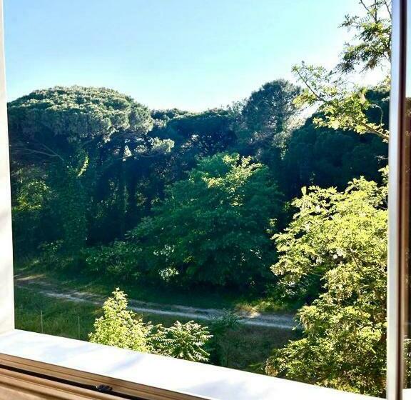 スタンダードルーム, Nazionale