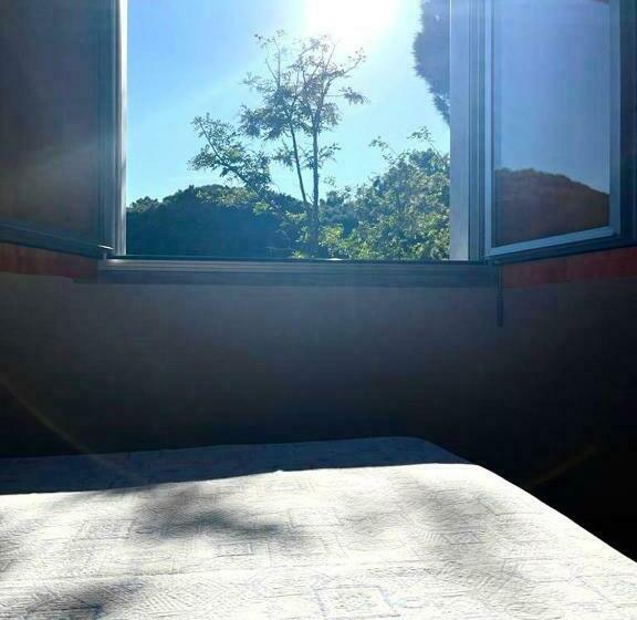 スタンダードルーム, Nazionale