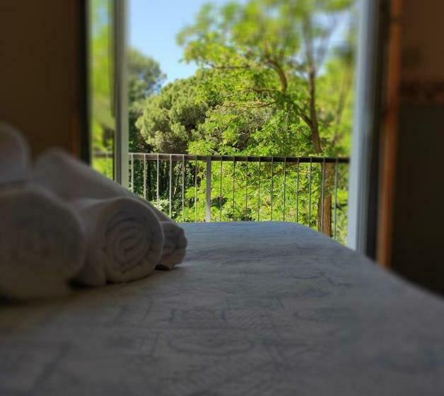 スタンダードルーム, Nazionale