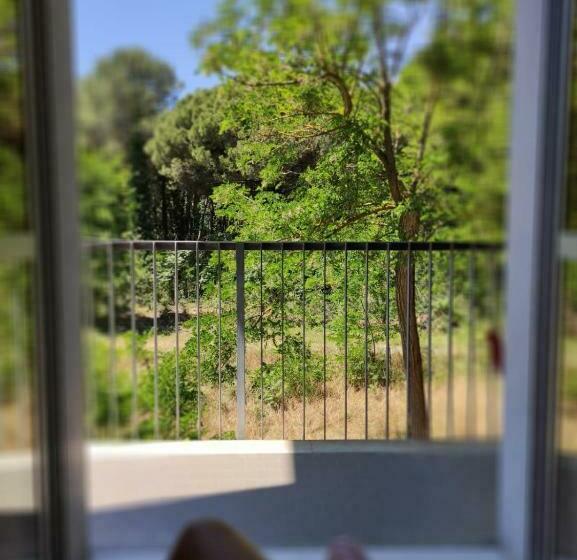 スタンダードルーム, Nazionale