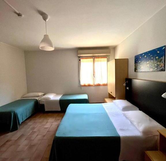 スタンダード４人部屋, Nazionale