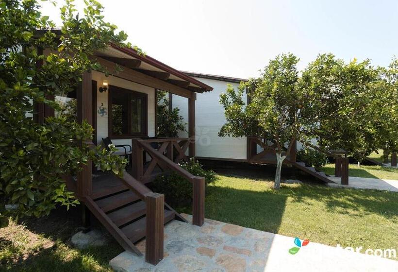 بنجلو قياسى, Sedir Resort   Hotel Rooms, Bungalows & Suites