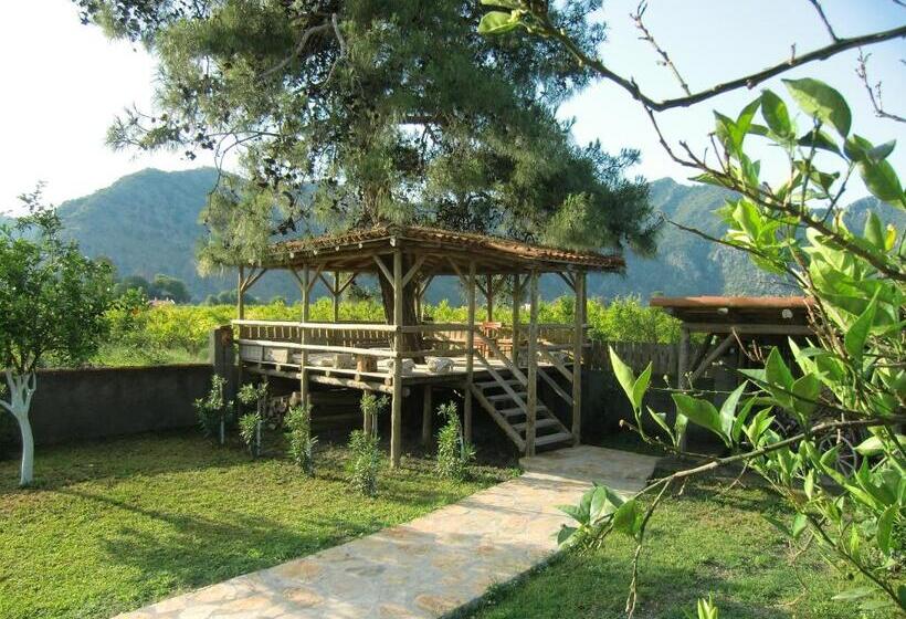 بنجلو قياسى, Sedir Resort   Hotel Rooms, Bungalows & Suites