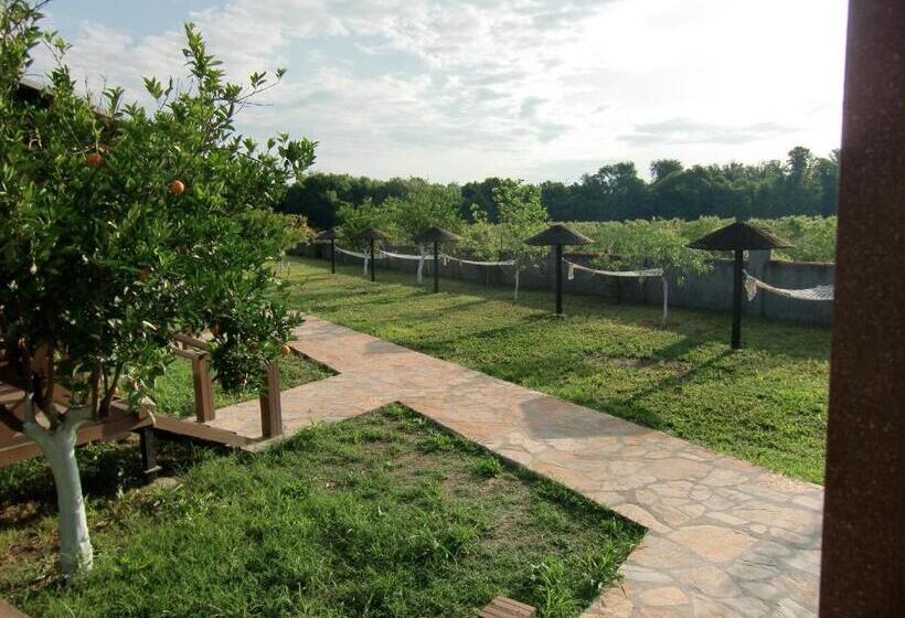 بنجلو قياسى, Sedir Resort   Hotel Rooms, Bungalows & Suites