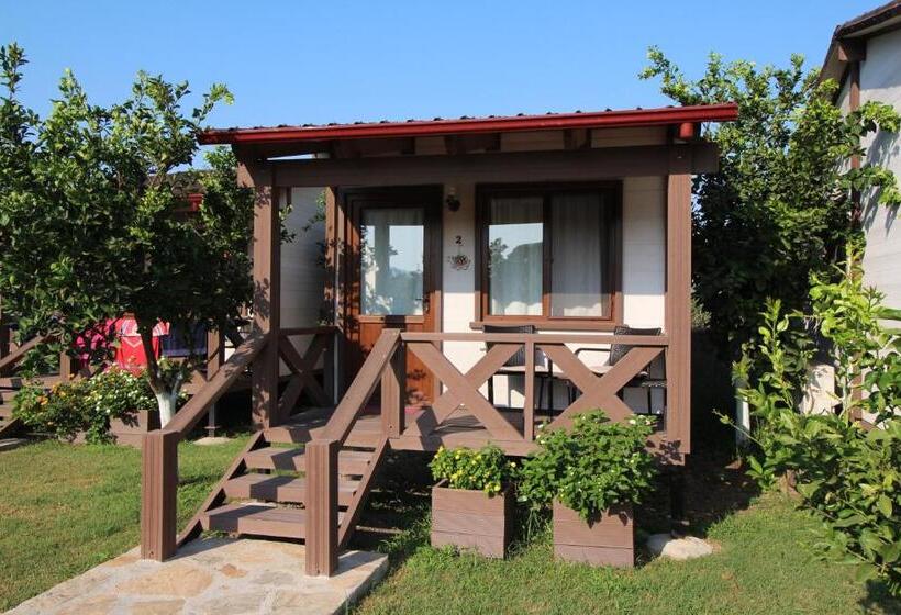 بنجلو قياسى, Sedir Resort   Hotel Rooms, Bungalows & Suites