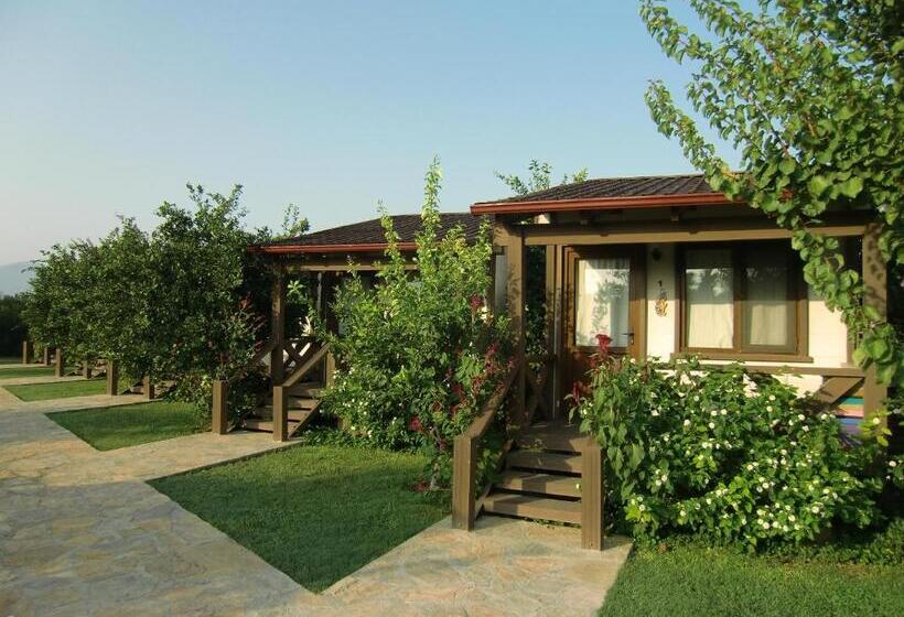 بنجلو قياسى, Sedir Resort   Hotel Rooms, Bungalows & Suites