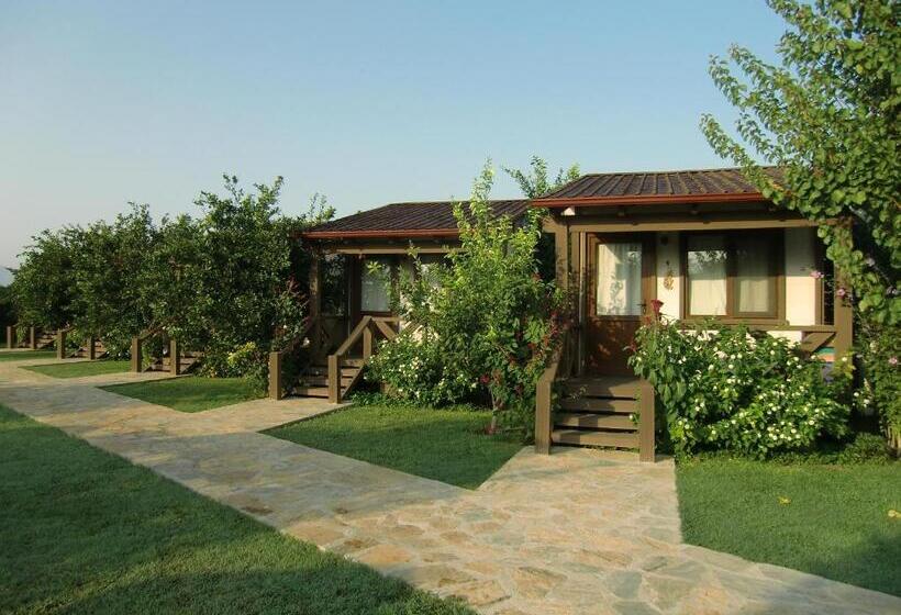 بنجلو قياسى, Sedir Resort   Hotel Rooms, Bungalows & Suites