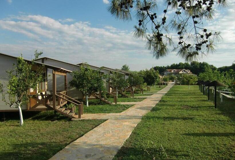 بنجلو قياسى, Sedir Resort   Hotel Rooms, Bungalows & Suites