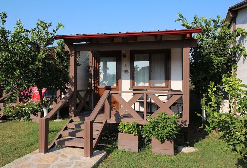 بنجلو قياسى, Sedir Resort   Hotel Rooms, Bungalows & Suites