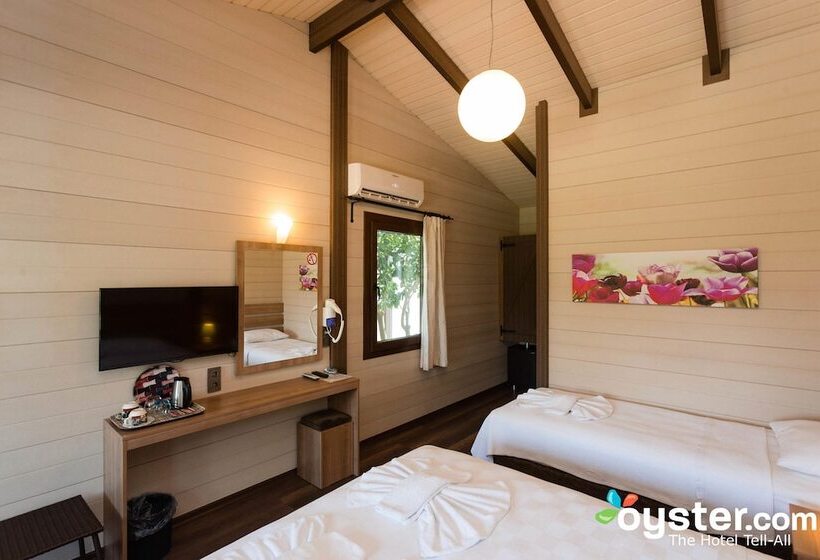 بنجلو قياسى, Sedir Resort   Hotel Rooms, Bungalows & Suites