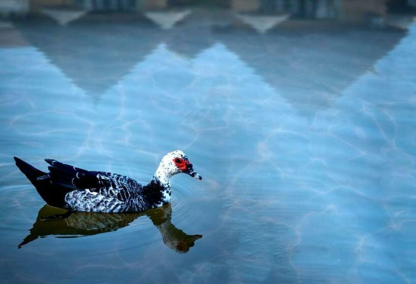 اتاق استاندارد با تراس, Bamboo Village Resort