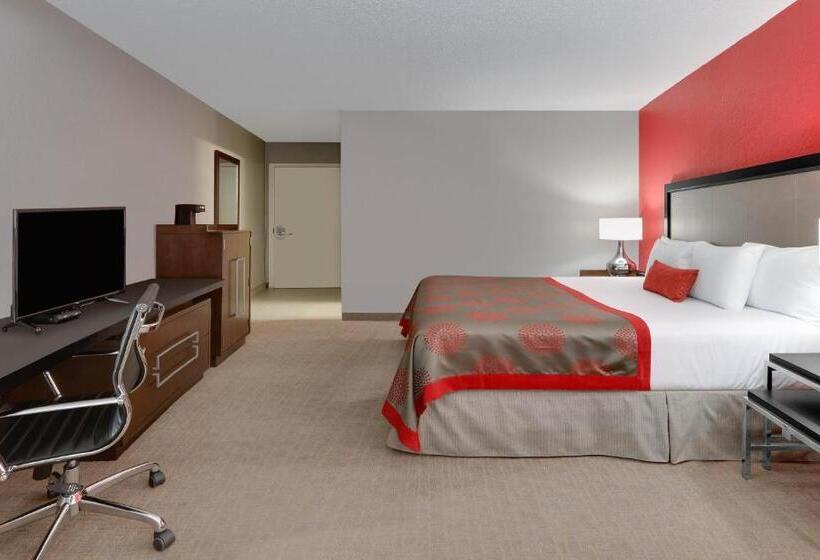 스탠다드 싱글 룸, Boutique