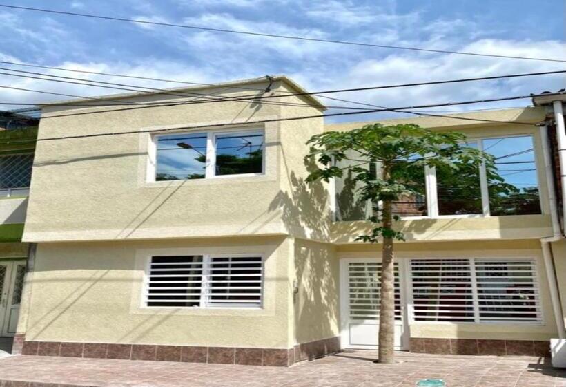 اتاق استاندارد یک نفره, Habitaciones Tipo Hotel Con Terraza