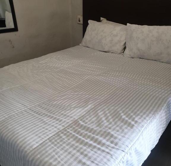 标准单人间, Liam Travel Inn