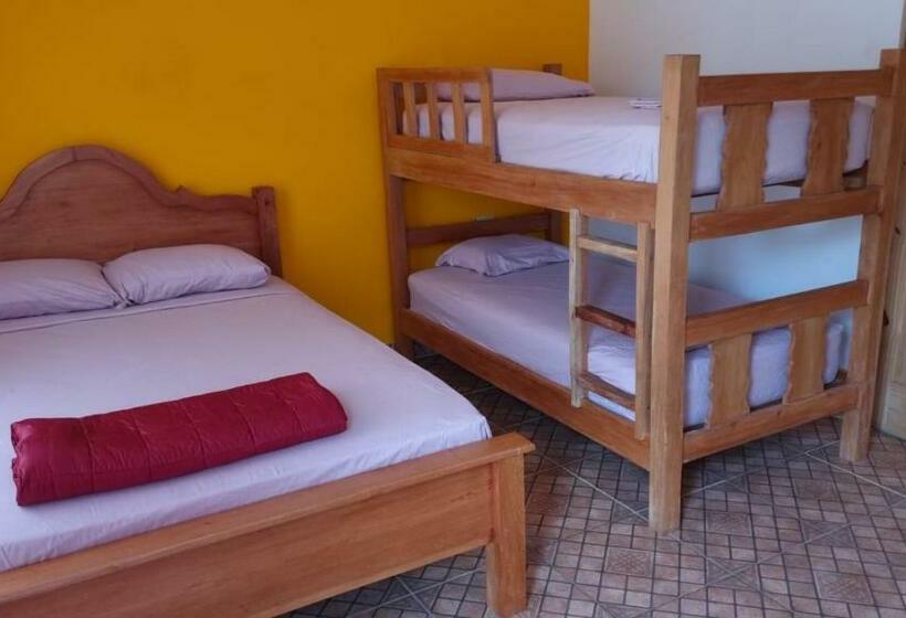 四人标准间, Rainforest Lodge Del Rio