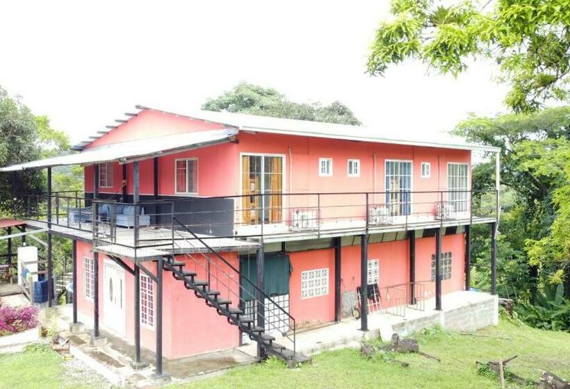 四人标准间, Rainforest Lodge Del Rio